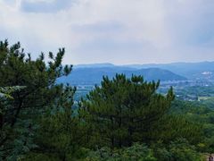 -磬锤峰森林公园