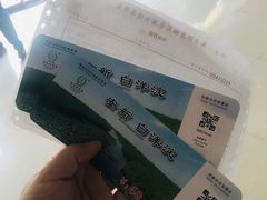 -白洋淀景区
