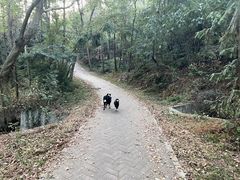 -青龙山国家森林公园