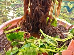 -鑫日千里马朝鲜族小馆(总店)