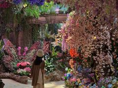 -正佳雨林生态植物园
