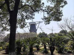 -上海鲜花港