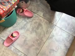 -上海柏悦酒店