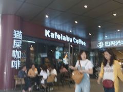 -猫屎咖啡(日月光中心广场店)