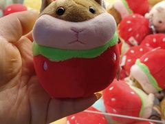 -大玩家(哈尔滨悦荟店)