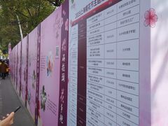 -自然谷恐龙园