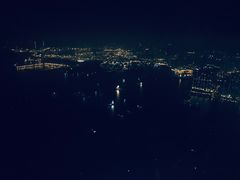 -天龙轩(香港丽思卡尔顿酒店)