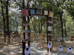 -沂蒙山旅游区云蒙景区(蒙山国家森林公园)