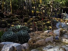 -胡里山炮台