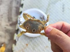-后海村