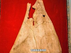 -安阳博物馆