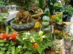 -双季花艺园艺市场(浦东店)