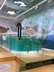 -爱玩爱游亲子母婴(旭辉广场店)