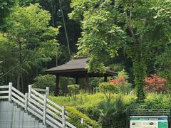 -素山寺森林公园