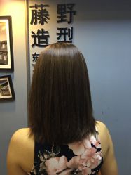 -藤野造型