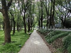 -嘉北郊野公园