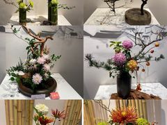 -杭州植物园