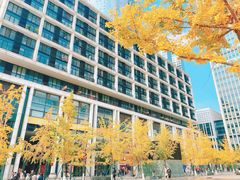 -心乐生活新鲜屋(星海广场店)