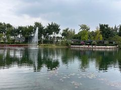 -成飞公园