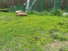 -油甘埔永新酒楼