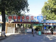 -保定市动物园