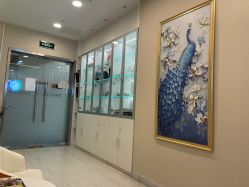 -北京楚诺医疗美容