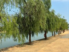 -鄱阳湖国家湿地公园