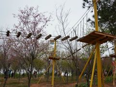 -天适樱花悠乐园