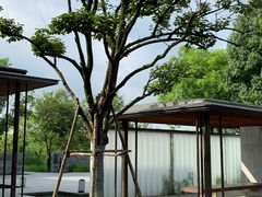 -木守西溪溪隐餐厅