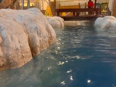 -中铁花水湾四季温泉谷