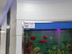 -雅悦齿科(顾村公园店)