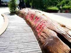 -黑瞎子岛探秘野熊园