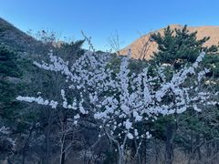 -妙峰山风景名胜区