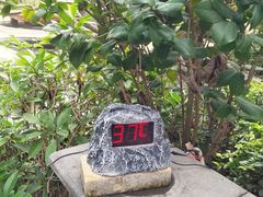 -台山颐和温泉城