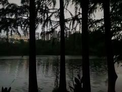 -重庆彩云湖湿地公园