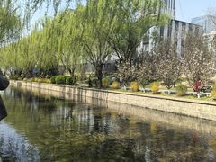 -元大都城垣遗址公园