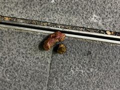 -佳雯宠物医院(四明中路分院)