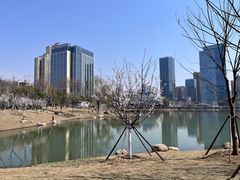 -后襄河公园