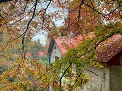 -莫干山风景区
