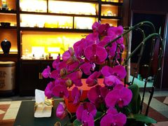 -湖畔居茶楼(湖滨店)