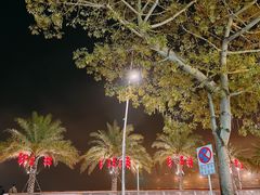 -旺富东海大酒楼(海鲜街店)