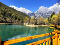 -晓靖轩烧烤(沙河风情店)