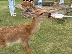 -前海沿·青岛菜(大拇指广场石老人店)