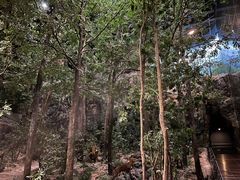 -浙江自然博物院(杭州馆)