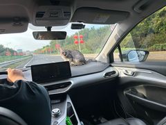 -宠福鑫康馨动物医院·骨科·眼科
