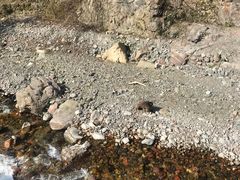 -西岭雪山大飞水景区