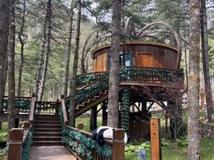 -洛阳白云山景区