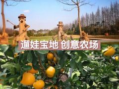 -前小桔亲子创意农场·草莓采摘·露营烧烤