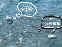 -羊卓雍措