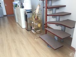 -Yukina Plus专业日式美肌